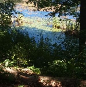 Meet your Posher, Cathy